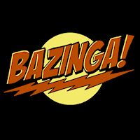 Bazinga - StoneyKins