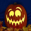 Jack O 227 CO