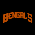 Cincinnati Bengals 08