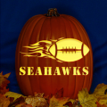 Seattle Seahawks 07 CO