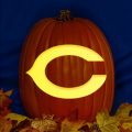 Chicago Bears 01 CO