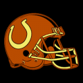 Indianapolis Colts 10