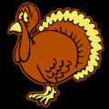 Turkey 11