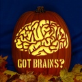 Got Brains CO