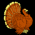 Turkey 01