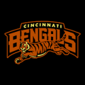 Cincinnati Bengals 05