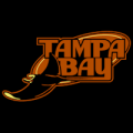 Tampa Bay Rays 07