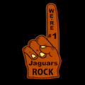 Jacksonville Jaguars 07