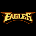 Philadelphia Eagles 06