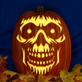 Skull Face CO