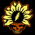 Grateful Dead Flower 01