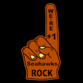 Seattle Seahawks 11