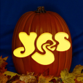 YES Logo CO