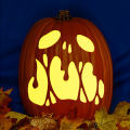 Jack-O 202 CO