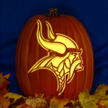 Minnesota Vikings 04 CO