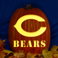 Chicago Bears 02 CO