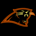 Carolina Panthers 01