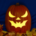 Pumpkin Batty CO