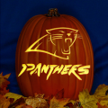 Carolina Panthers 02 CO
