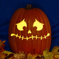 Jack O 241 CO