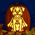 Krypto the SuperDog CO