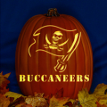 Tampa Bay Buccaneers 02 CO