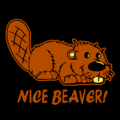 Nice Beaver