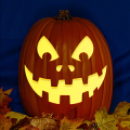 Jack O 247 CO
