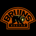 Boston Bruins 05