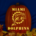 Miami Dolphins 01 CO