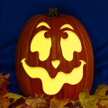 Jack O 230 CO