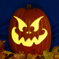 Jack O 231 CO