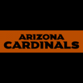 Arizona Cardinals 10