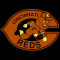 Cincinnati Reds 12