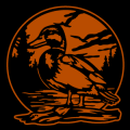 Mallard Duck 01