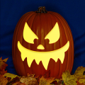 Jack O 238 CO