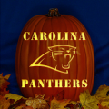 Carolina Panthers 05 CO