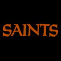 New Orleans Saints 05