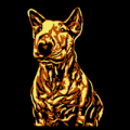 Mini Bull Terrier 05