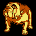 Bulldog 03