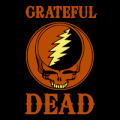 Grateful Dead Steal Your Face