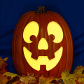 Jack O 245 CO