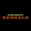 Cincinnati Bengals 06