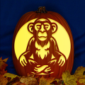 Meditating Chimp CO