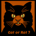 Cat or Rat ?