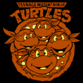 Teenage Mutant Ninja Turtles 02