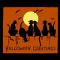 Halloween Greetings