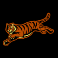 Cincinnati Bengals 02