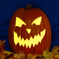 Jack O 237 CO
