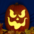 Jack O 235 CO